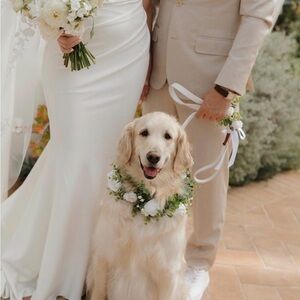 Chic Floral Dog Collar & Leash for Special Occasions with Roses and Eucalyptus